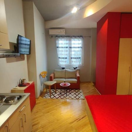 Ds'S Cosy Apartment スコピエ エクステリア 写真
