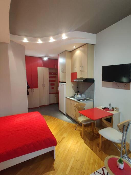 Ds'S Cosy Apartment スコピエ エクステリア 写真